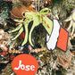 Personalized Ornament | Grinch Ornament | Christmas | Kids Ornament | Family Ornament